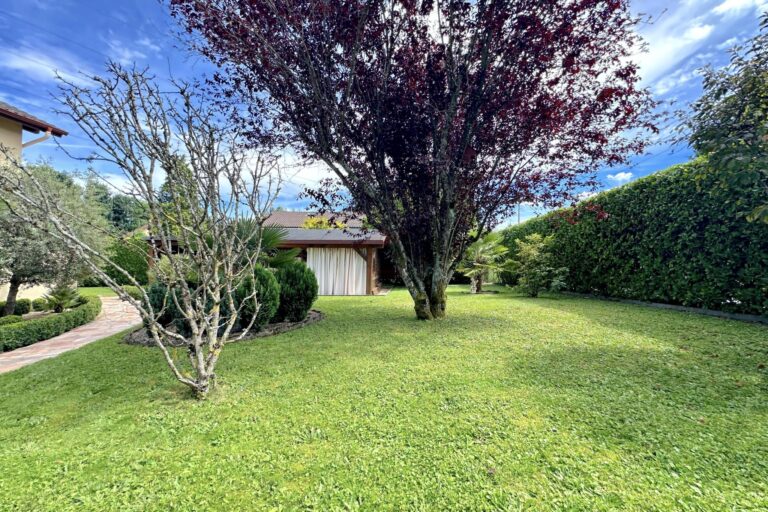 House with garden, terrace and outdoor living area