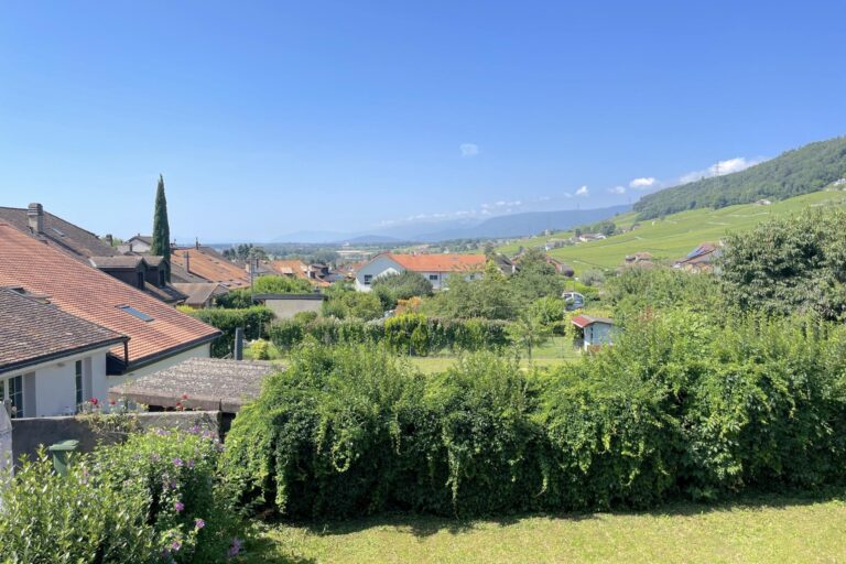 Maison de Vigneron au Cœur de Bursins – Charme et Potentiel Unique