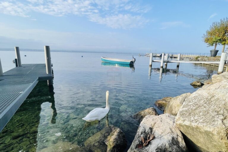 Maison 6 pièces à deux pas du lac