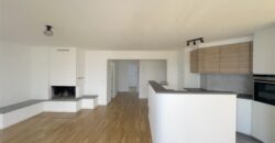 Magnifique Appartement Traversant au Dernier Étage avec Vue sur le Lac à Nyon