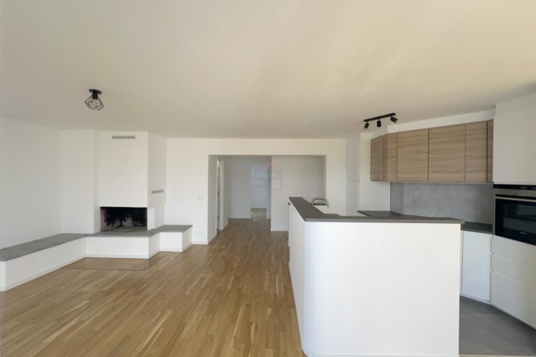 Magnifique Appartement Traversant au Dernier Étage avec Vue sur le Lac à Nyon