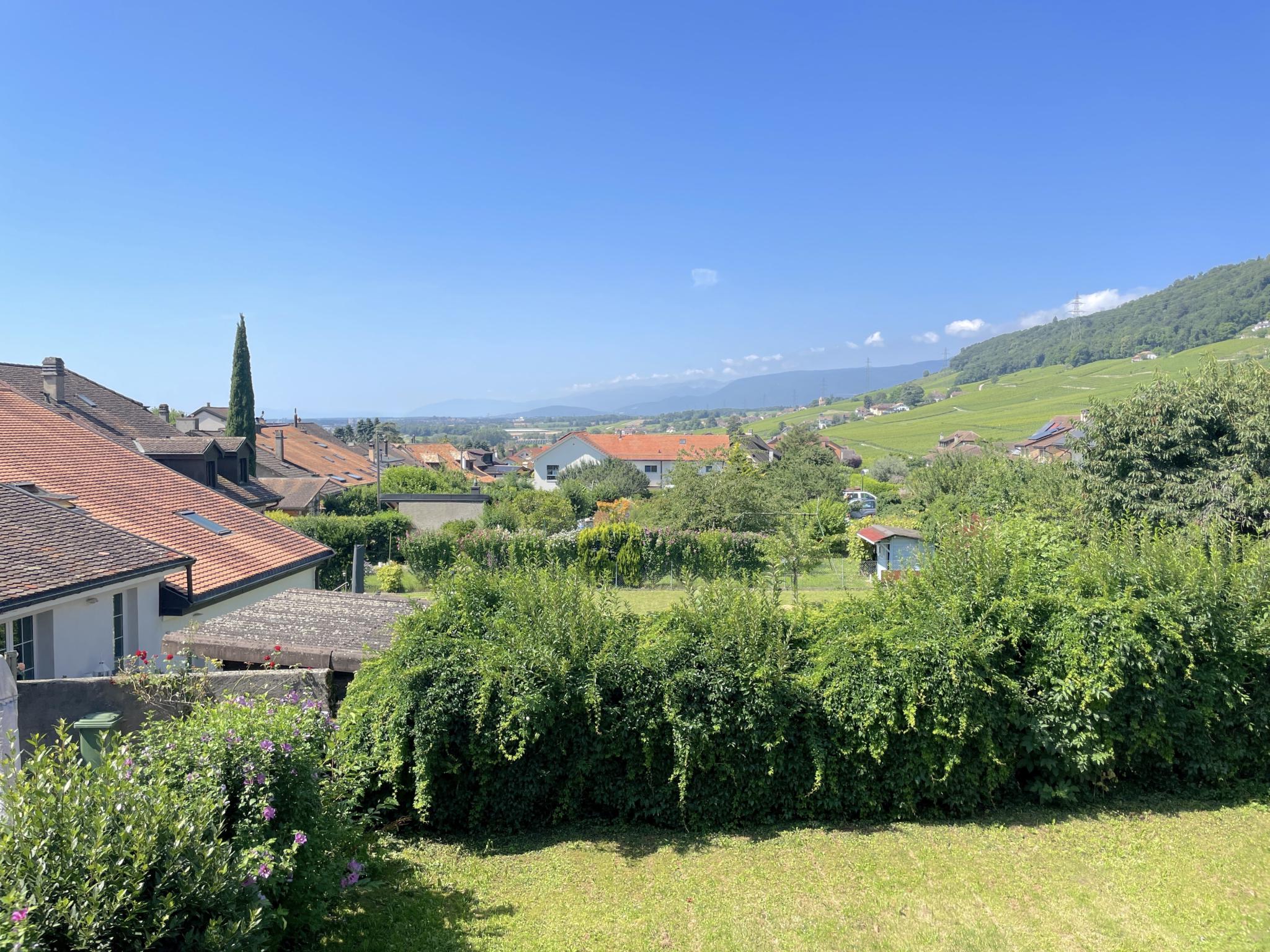 Maison de Vigneron au Cœur de Bursins – Charme et Potentiel Unique